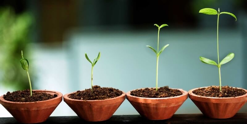 10 kiểu sinh viên ra trường chắc chắn sẽ thất nghiệp
