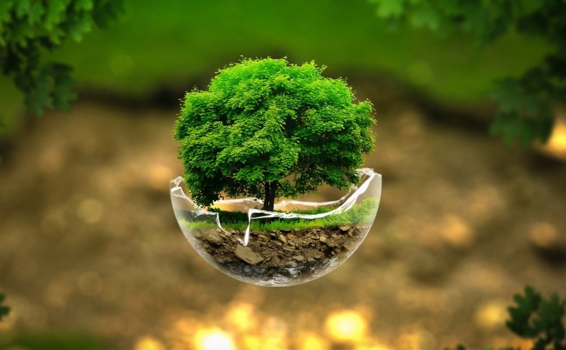nature-wallpapers-nature-wallpaper-latest-beautiful-wallpapers-wallpaper-39332